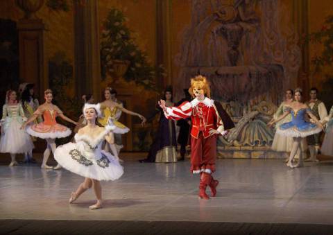 Дуэт Белой Кошечки и Кота в сапогах...