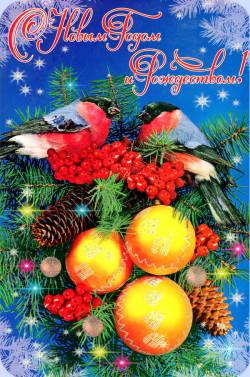 С Новым 2014 Годом и Рождеством!