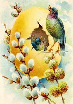 С Вербным воскресеньем!