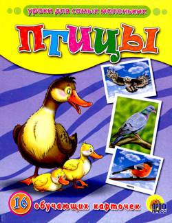 Обучающие карточки: Птицы