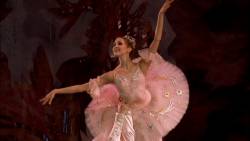 Чайковский. Щелкунчик - Па-де-де (Скриншот)