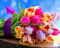 Для вас, учителя
