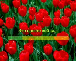 Это просто война
