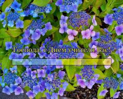 Господа, с днём учителя Вас! 