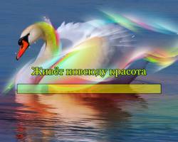 Живёт повсюду красота