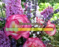 Мамин вальс Мамин вальс