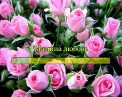 Мамина любовь