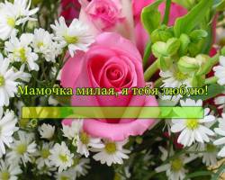 Мамочка, милая, я тебя люблю!