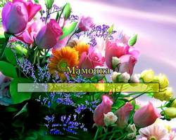Мамочка