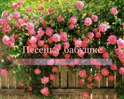 Песенка бабушке