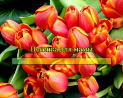 Песенка для мамы