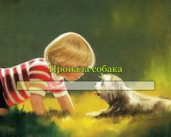 Пропала собака