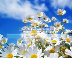 Самая счастливая