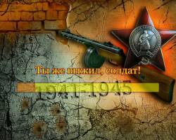 Ты же выжил, солдат!