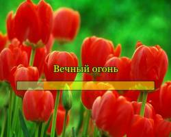 Вечный огонь