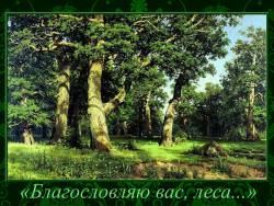 «Благословляю вас, леса...»
