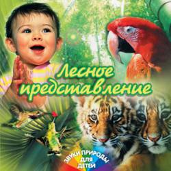 Звуки природы для детей: Лесное представление