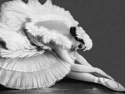 Абсолютный слух. «Лебедь» в жизни Павловой