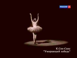 Абсолютный слух. «Лебедь» Камиля Сен-Санса в исполнении Галины Улановой